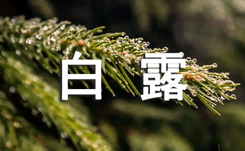 白露節(jié)氣流行諺語