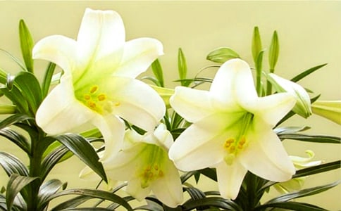 ���x�ٺϻ��B�m(x��)�^����ӛ����