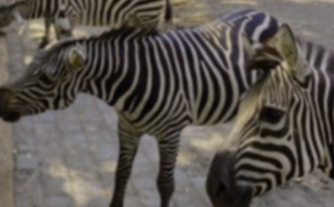 �P�ڰ��R�����ģ����R600��