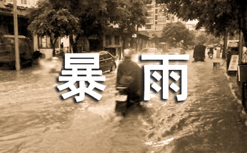 暴雨觀察日記