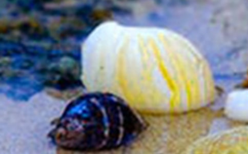 ��ͨ�á�ؐ������300��