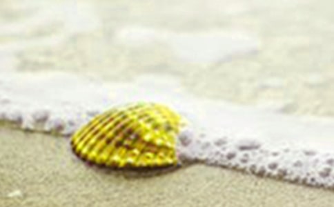 實(shí)用的貝殼作文錦集8篇