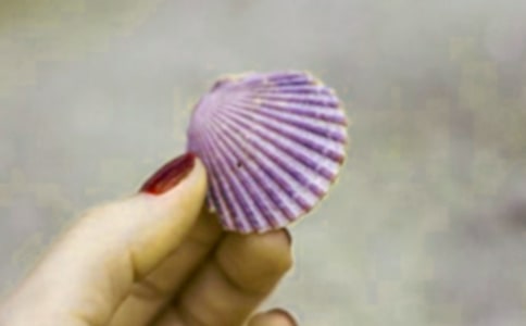 С�W(xu��)ؐ��Ԓ�}���ģ���Ȥ��ؐ��