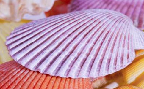 有關(guān)撿貝殼作文4篇