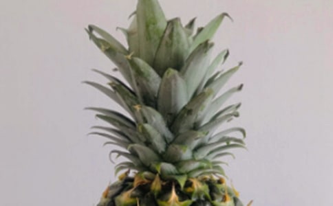 菠蘿雞丁的簡單做法