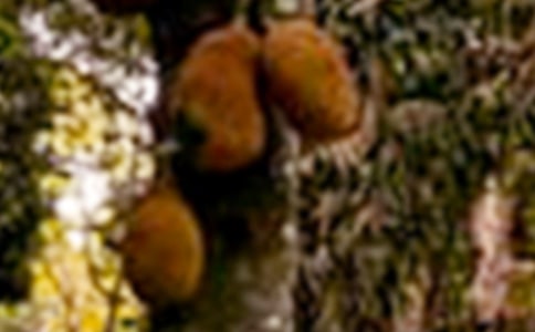 ���}�ۺͲ��}�ą^(q��)�e