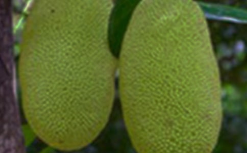 ���}������Щ�I�B(y��ng)