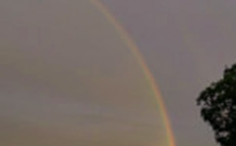 我心中的彩虹作文(精選32篇)