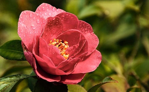 �P(gu��n)���茑�軨�ă�(y��u)������