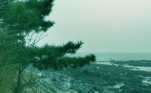 ���x���L(f��ng)����400��4ƪ