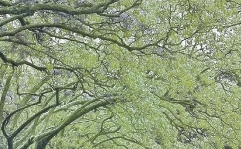 形容春風(fēng)得意的詞語