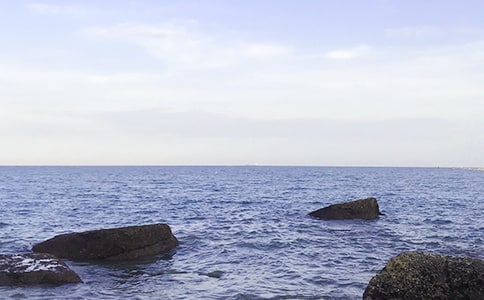 大海導(dǎo)游詞4篇