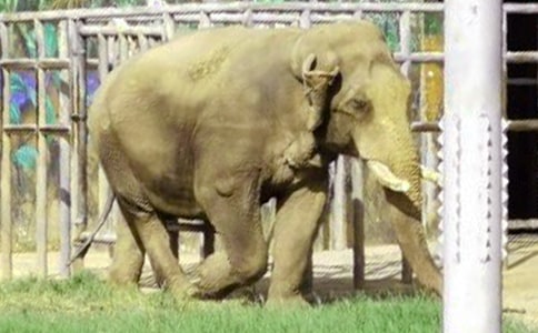 ��(sh��)�õĴ���ͯԒ���ĺϼ�8ƪ