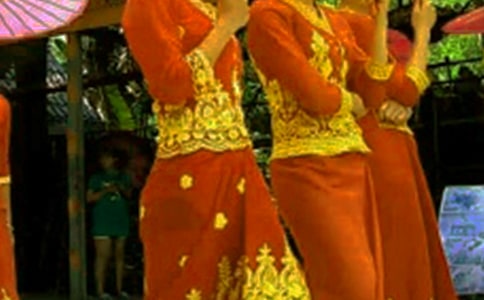 傣族舞基本動作介紹