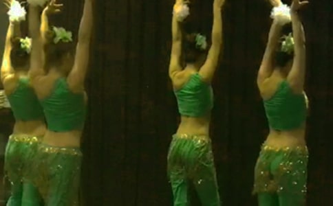 傣族舞的分類(lèi)