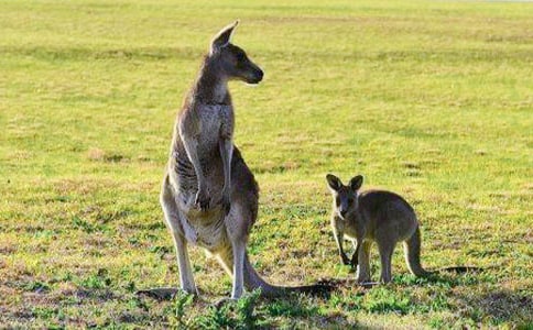 ��������400�֣�ͨ��25ƪ��