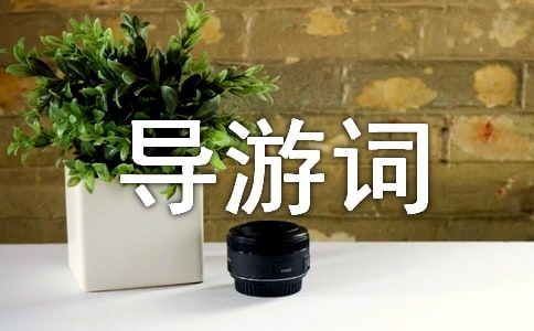 �}�ǌ�(d��o)���~13ƪ