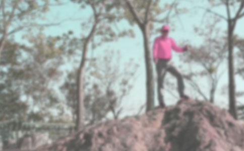 ������ɽ��ע�����