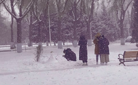 ��Щ��Ҫ���趬�յ������Y