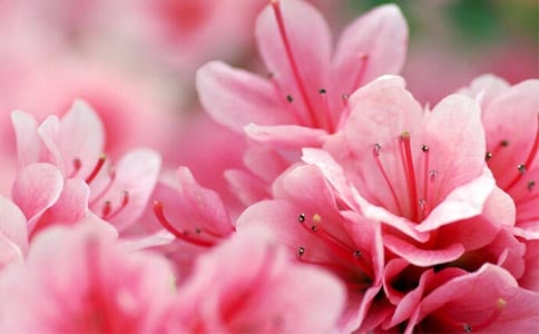 �^����N����ӛ