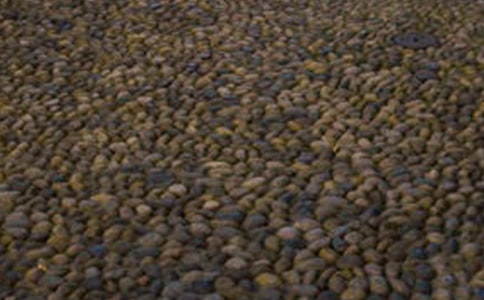 如何在鵝卵石上畫畫