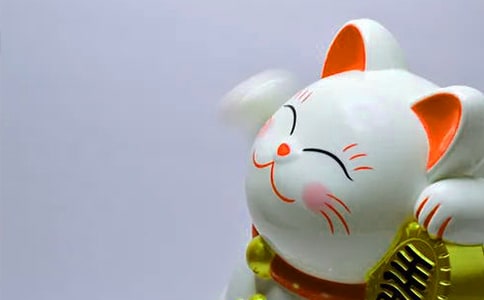 �l(f��)ؔ(c��i)��ķNֲ����