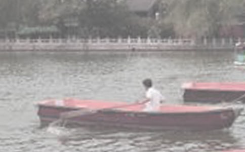 �ƺ����۳�������