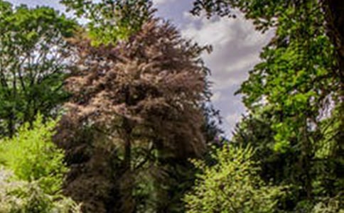 �ł�(g��)�����L(f��ng)���zӰ�ļ���