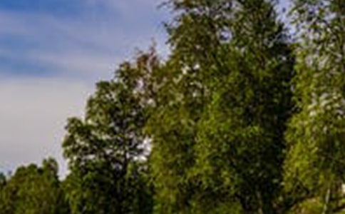 風(fēng)景攝影如何構(gòu)圖