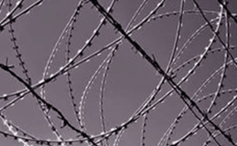 把心建造成鋼鐵長城作文