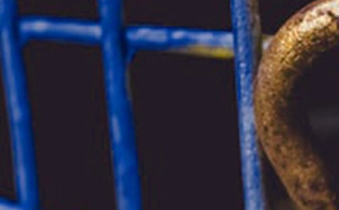 ��F��I(y��)�Ļ���(bi��o)�Z(y��)