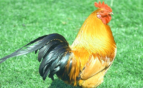 ���u����400����ƪ