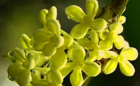 �𻨵��^����ӛ