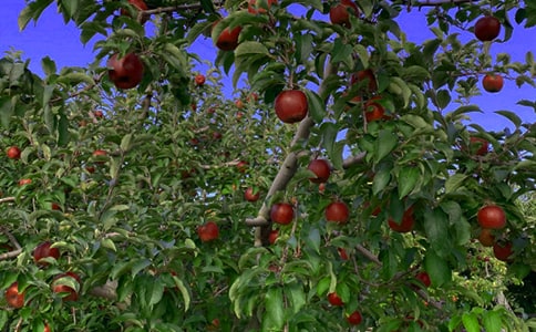 �����x�����@�а���ͬ