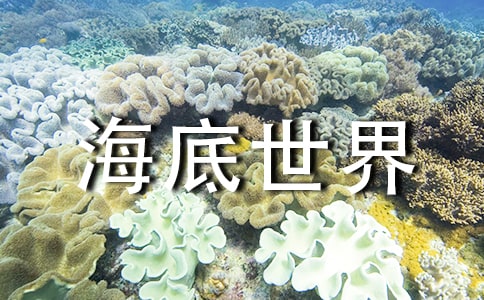 青島海底世界導(dǎo)游詞(11篇)