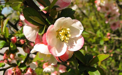 �茑���Ļ���Ψ�����ӣ����x150�䣩