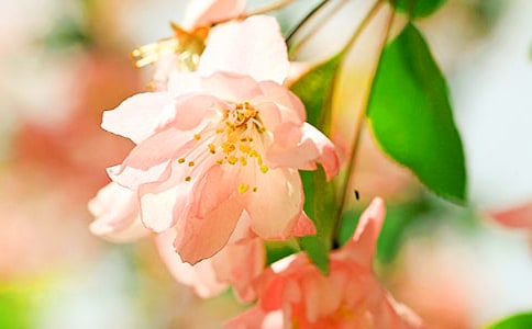 �r(sh��)�⺣�����r(sh��)��犱�����