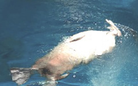 ��ۺ��󹫈@��(d��o)���~