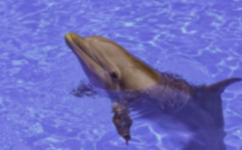 ���{ɫ�ĺ����u���x���500��