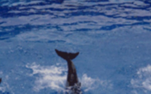 ���{ɫ�����u���x���