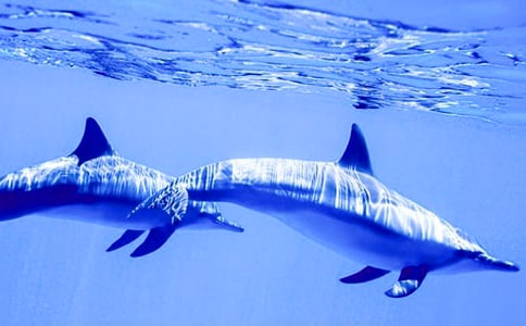 ���{(l��n)ɫ�ĺ����u���x���