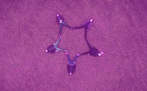 好友寄語(yǔ)集錦