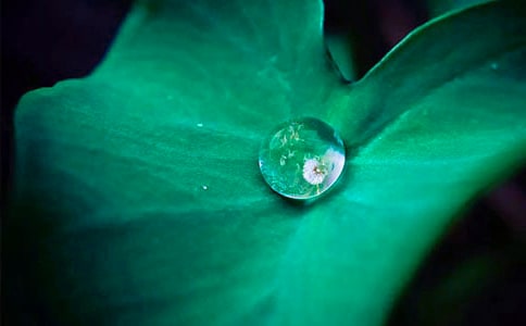 ���~�A�A�̌W�OӋ��һ�n�r