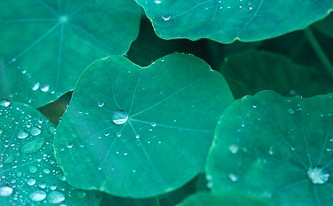 2017荷葉邊長外套搭配技巧