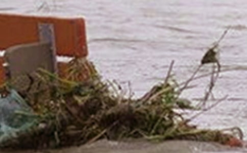 ��Ѵ���˜ʺ�ˮ�����A�������x19ƪ��