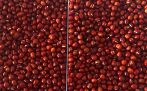 �t���^����ӛ�����x28ƪ��