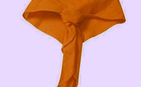 最新紅領(lǐng)巾相約中國夢格言