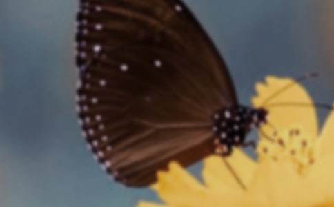 �˷����Ȫ���^(q��)��(d��o)���~