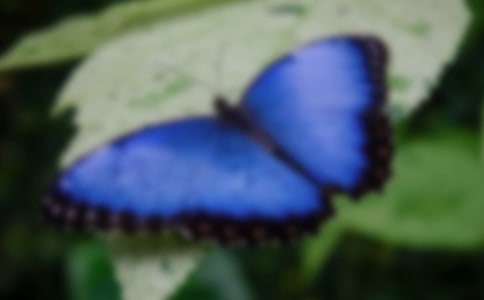 �̷�{���B(t��i)�����@�Č�(d��o)���~