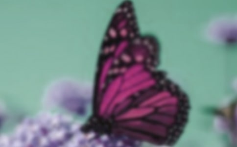 ���P(gu��n)������Ъ���Z